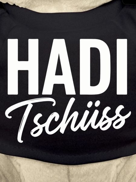 Hadi Bye