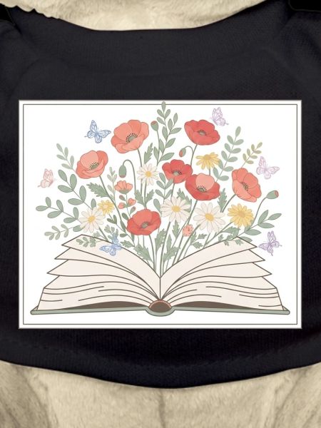 Bücher 