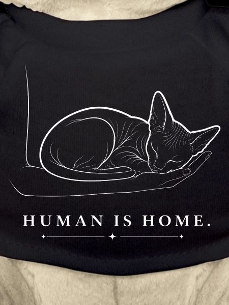 Sphynx Cat – Human Is Home