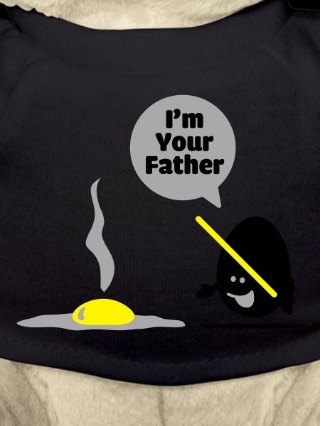 egg vader