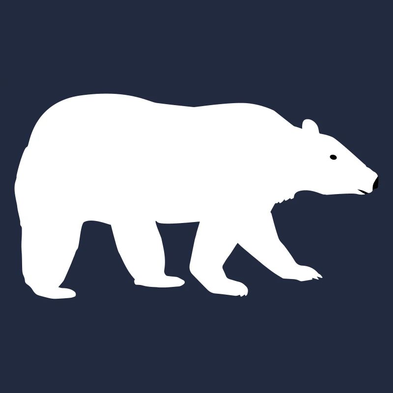 Ours polaire