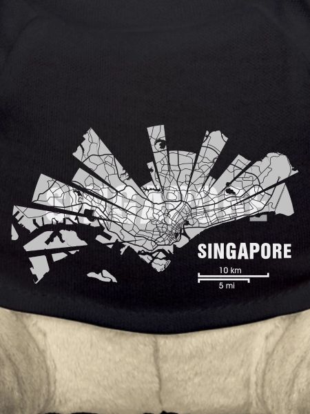 Singapore Map