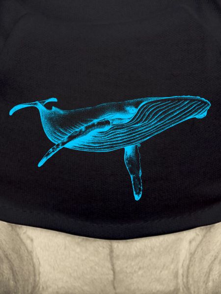 Blue Whale (Neon)