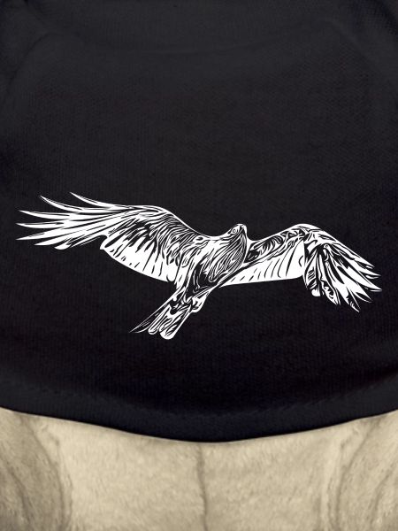 Elegant flying hawk