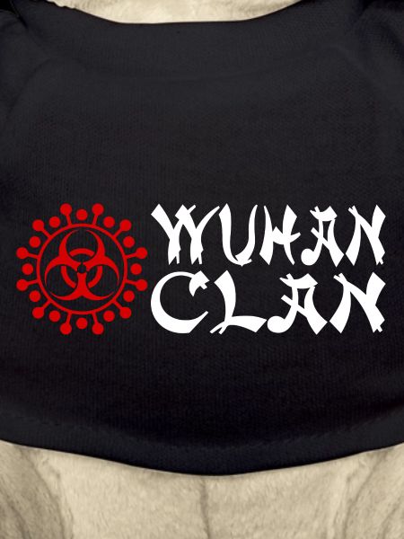 Wuhan clan
