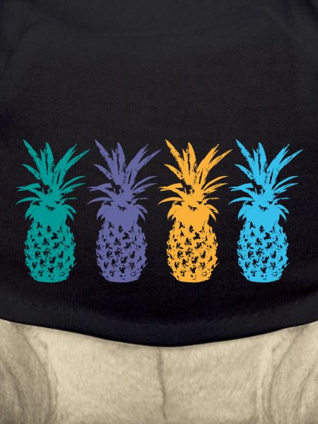 ananas