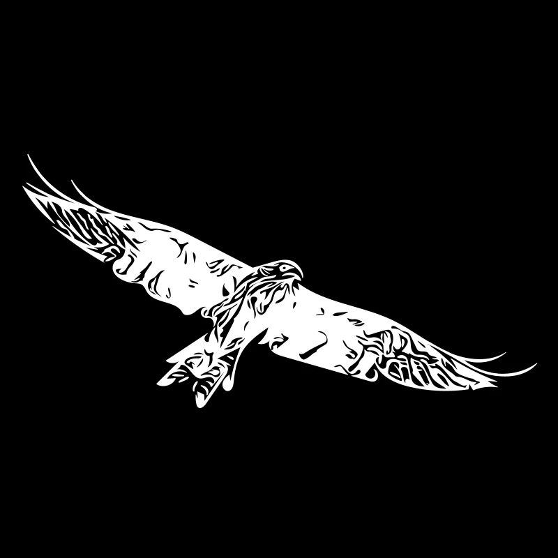 Oiseau de proie aux ailes larges