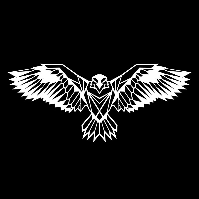 Minimaliste - Raven