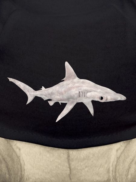 Great hammerhead, shark, shark