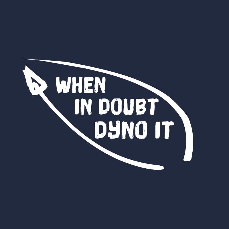 WHEN IN DOUBT DYNO IT Klettern bouldern Kletterer