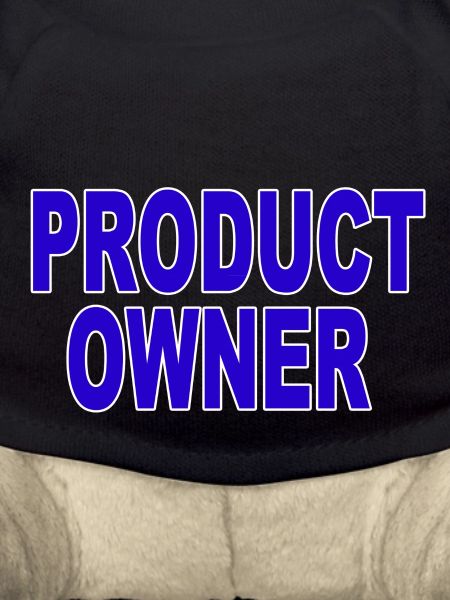 Agile - Poduct Owner