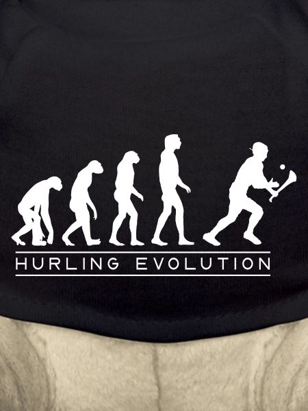 Die Evolution von Hurling