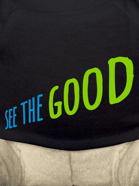 see the good quote