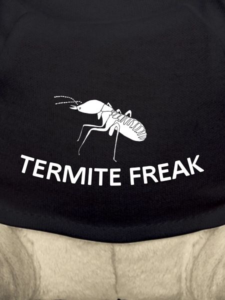 Termite Freak