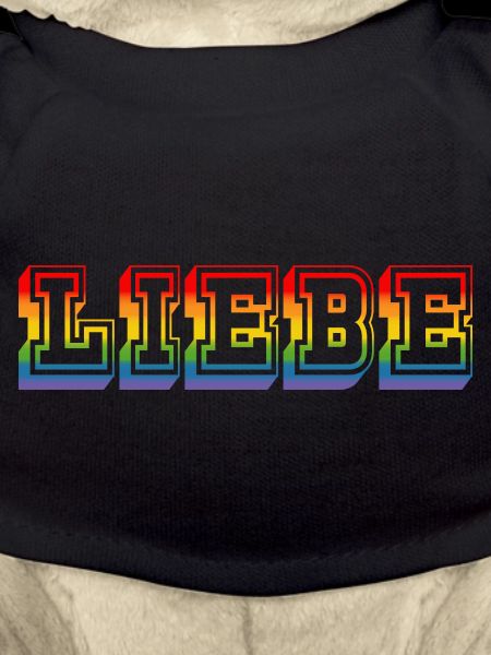 LGBT Regenbogen LIEBE rainbow tshirt