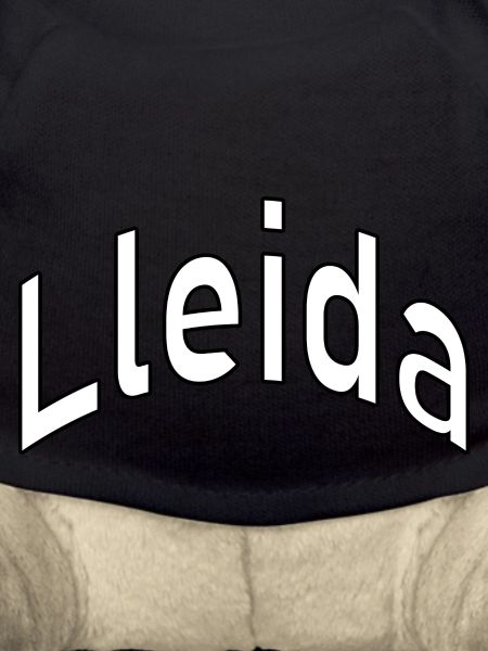 Lérida