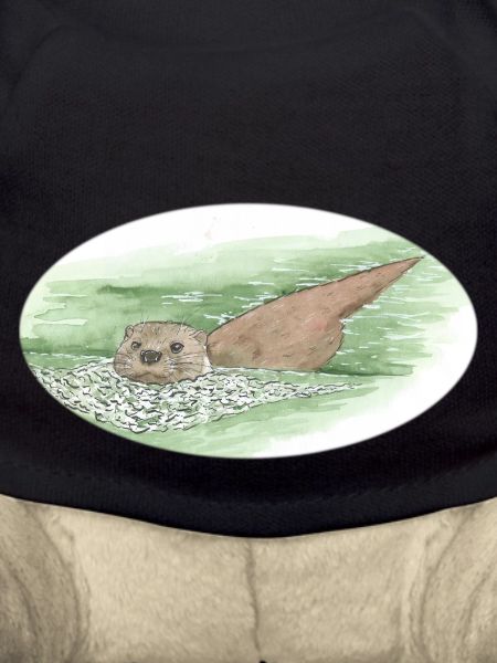 Loutre 3 28 12 2022