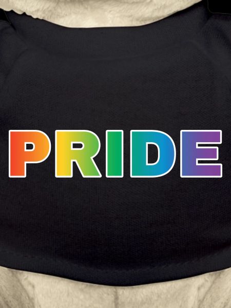 Pride Schriftzug