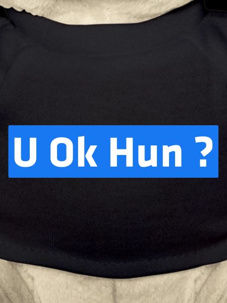 U Ok Hun ?