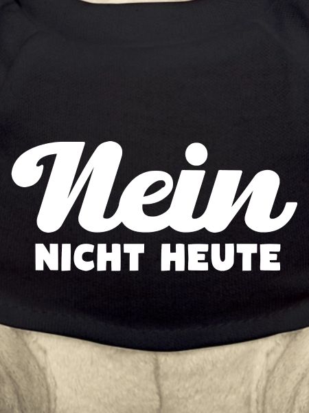 Nein Nicht Heute