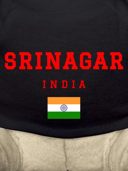 Srinagar, Inde