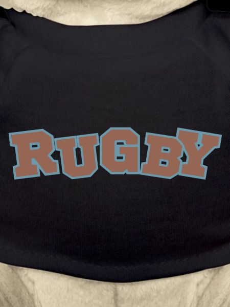 Rugby: Simple, Powerful, Passionate