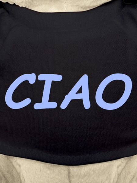 CIAO