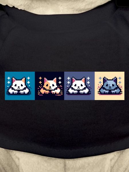 Attaque de chat