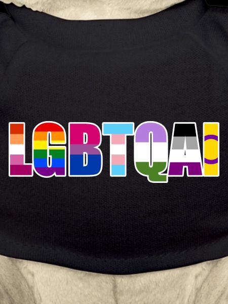 LGBTQIA Rainbow Typography