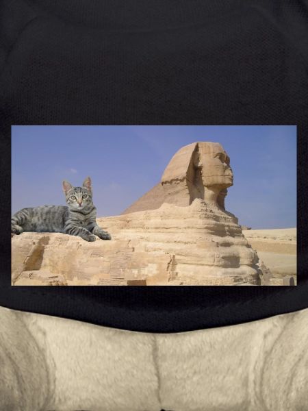 Cat and Sphinx