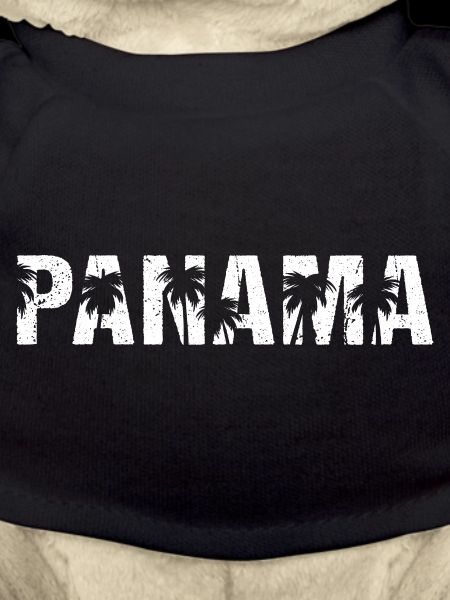 Panama Palmen