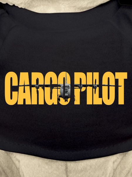 Cargo pilot An-12