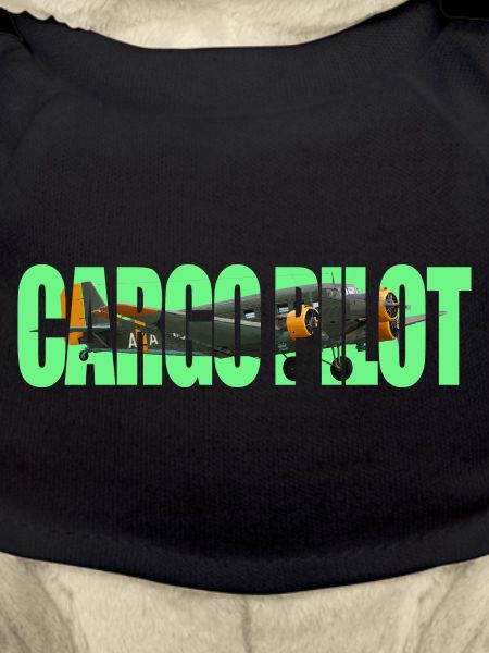 Cargo pilot Ju-52