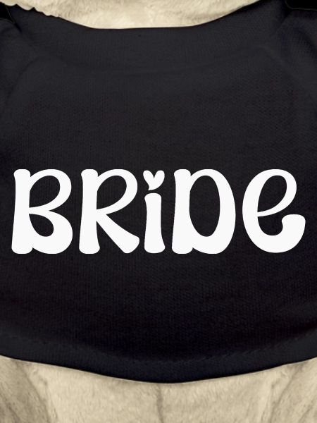 Bride Wedding Fiancée