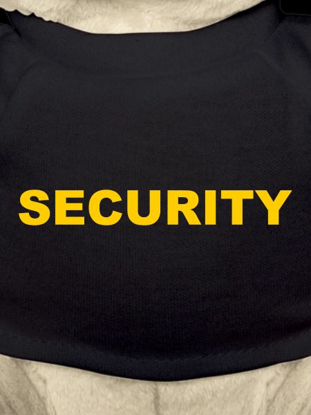 Security - Security Service - Bouncer