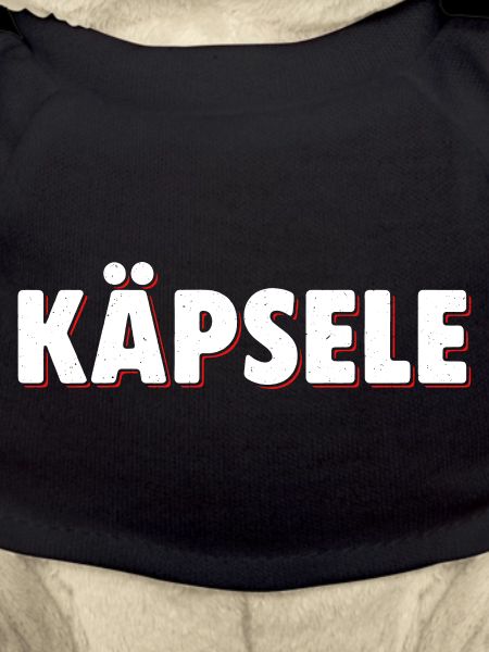 Käplsele