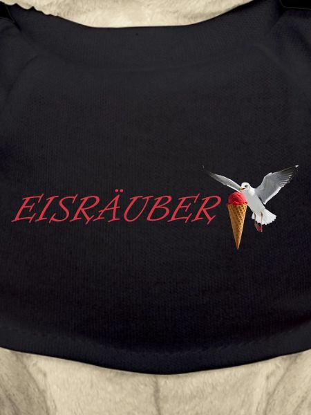 Eisräuber Design mit fliegender Möwe