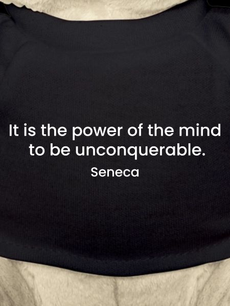 Inspirational Seneca Quote Design