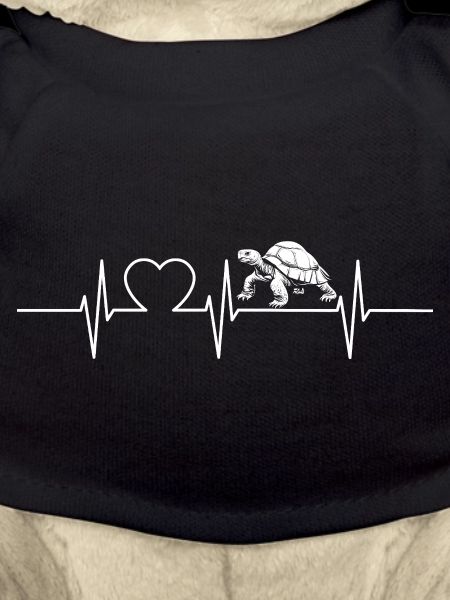 Tortoises Tortoise