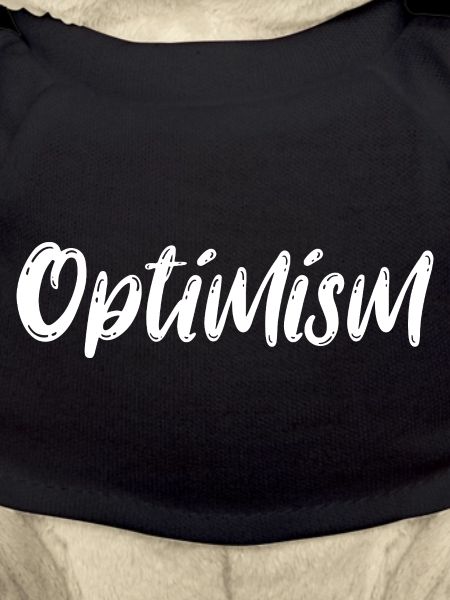 Omtimismus