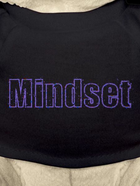 Mindset