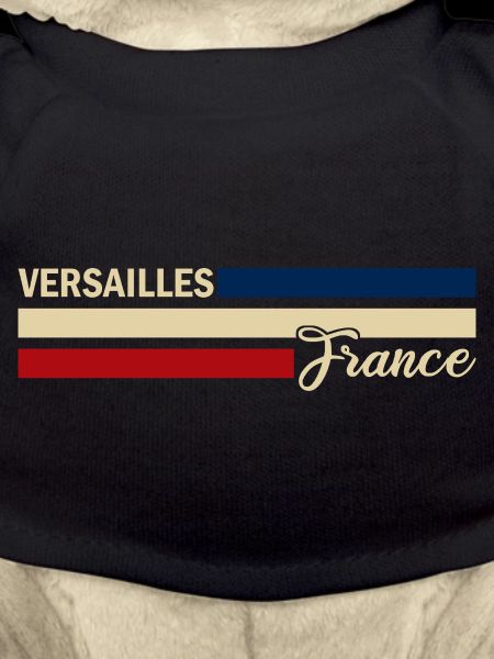 France - Versailles - France - Flag