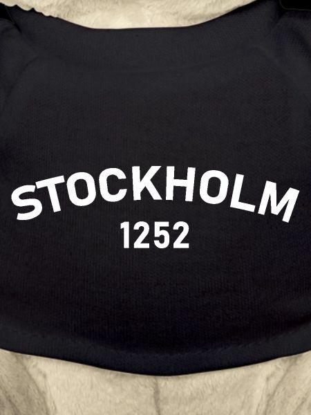 Stockholm 1252, Schweden