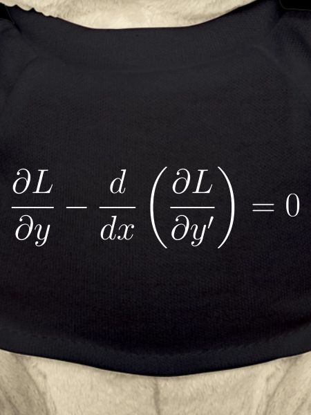 Euler-Lagrange equation fundamental notion physics