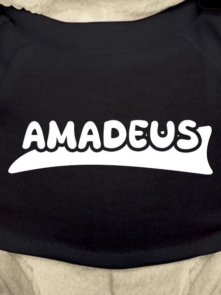 Geschenk für Amadeus