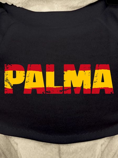 Palma Flag Spain