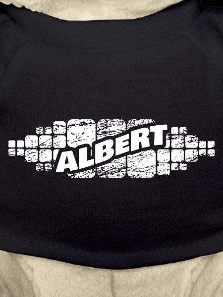 Prénom Albert