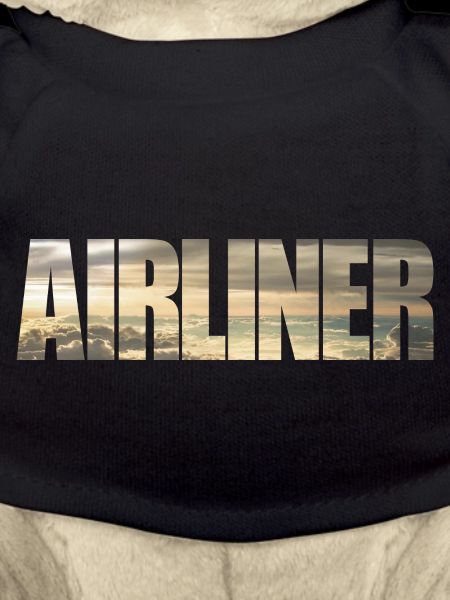 Airliner