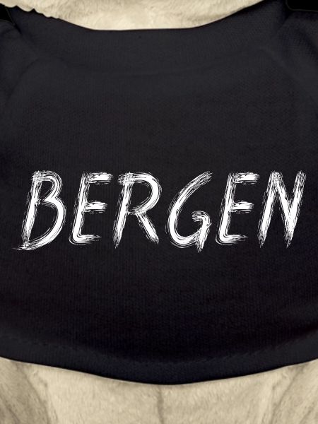 Bergen Écriture Brosse Brute