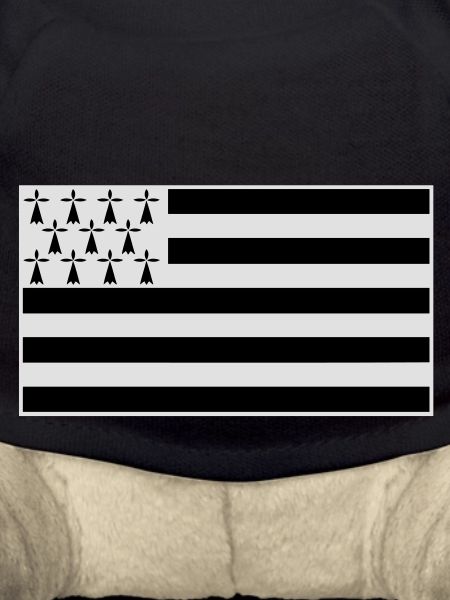 drapeau_breton